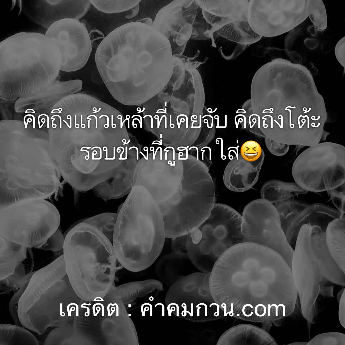 118 แคปชั่นคนเมา คําคมสระว่ายน้ํา – แคปชั่นขี้เมา